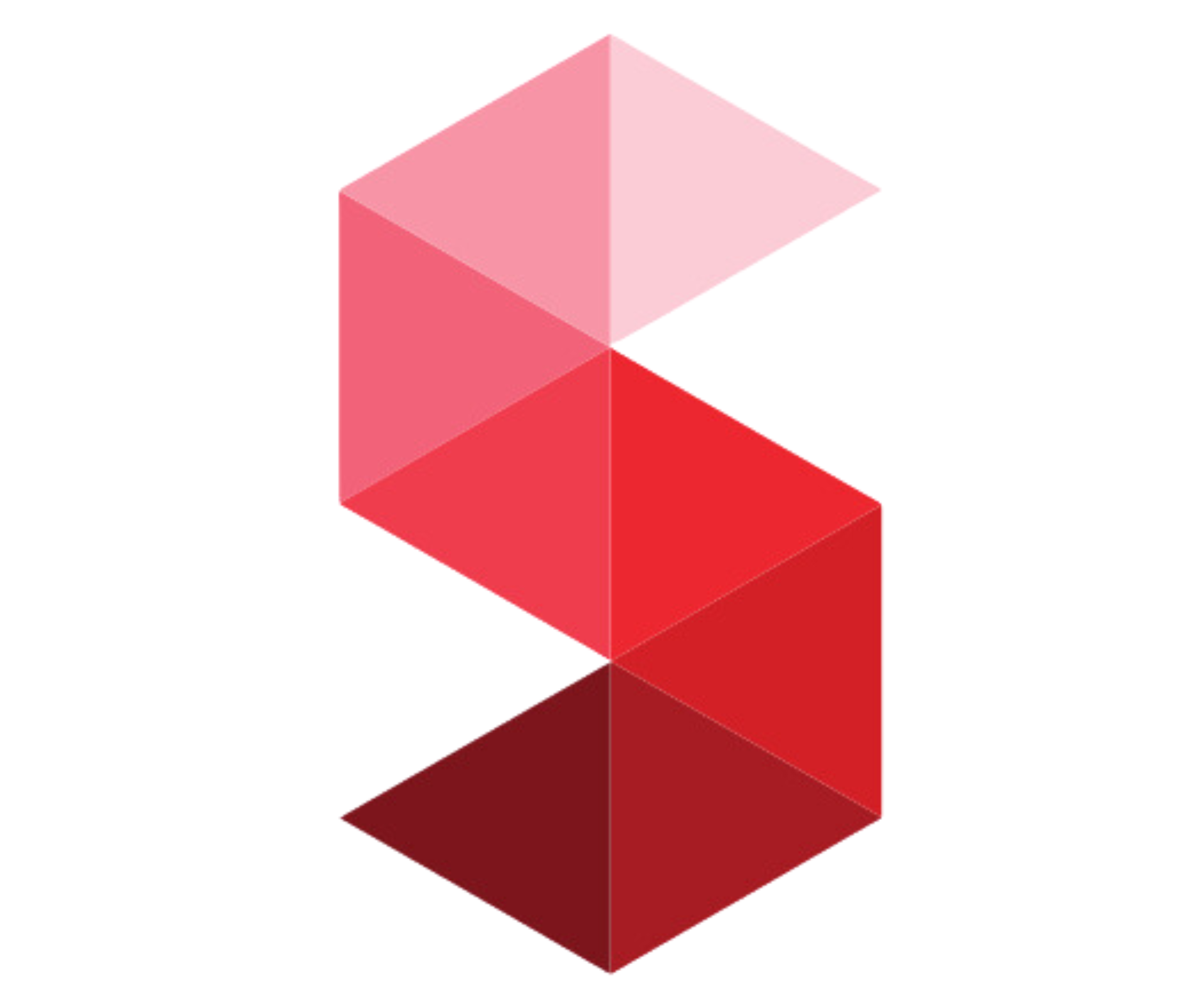 Simplified IP Icon